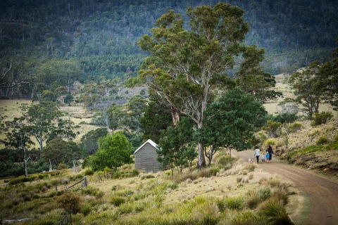 Twamley Farm - Sydneys Hotel 4