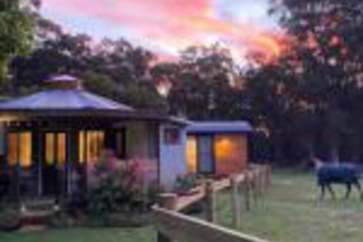  Sydneys Hotel