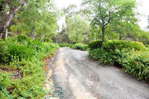 Avoca Park - Sydneys Hotel 4