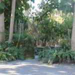 Avoca Park - Sydneys Hotel 0