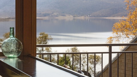 Grey Kangaroo- On Lake Jindabyne Foreshore - Sydneys Hotel 1