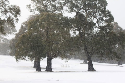 Stillwater Chalet A- Lake Crackenback - Sydneys Hotel 3