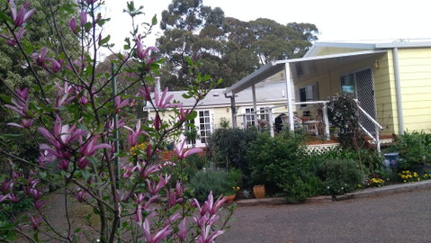 The Best Exotic Magnolia Cottage - Sydneys Hotel 4