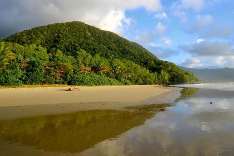 Daintree Rainforest Beach House - Sydneys Hotel 5