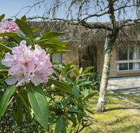 Wentworth Rose - Sydneys Hotel