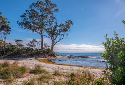 Adventure Bay Holiday Home - Sydneys Hotel 3