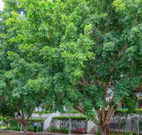 Theodore Apartments - Sydneys Hotel
