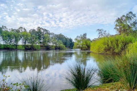 BIG4 Wagga Wagga Holiday Park - Sydneys Hotel 0