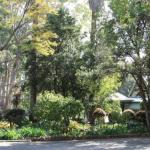 Two Sisters Chalets - Sydneys Hotel 1