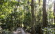 Rosewood Estate - thumb 1