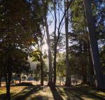 Bright Cabin Park - Sydneys Hotel