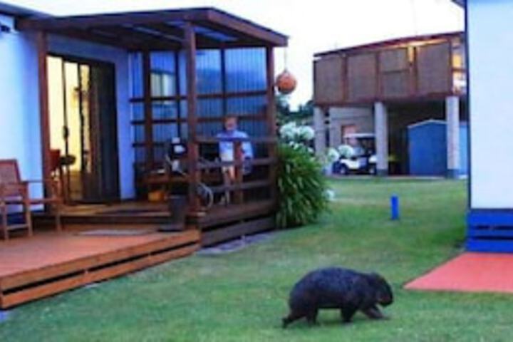 Kelso TAS Sydneys Hotel