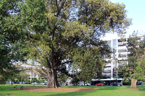 Adelaide Central Apartment - 3BR, 2Bath & Carpark - Sydneys Hotel 1
