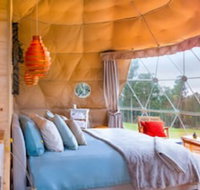 Domescapes in the Vines - Sydneys Hotel
