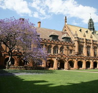 A Walk to Syd Uni  RPA Hospital - Sydneys Hotel
