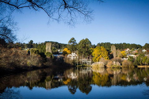 Chestnut Daylesford - Sydneys Hotel 6