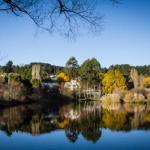 Chestnut Daylesford - Sydneys Hotel 0