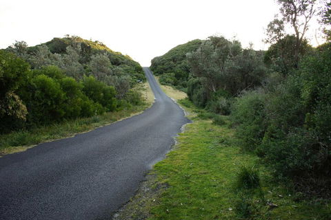 Venus Escapes Guesthouse - Sydneys Hotel 2