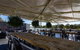 Murray River Queen - thumb 2