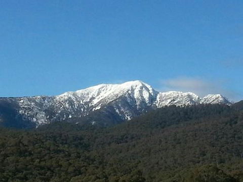Alps Lodge - Sydneys Hotel 4