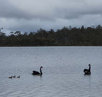 Lake Yalleena Nature Retreat - Sydneys Hotel
