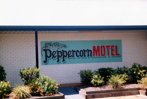Peppercorn Motel - Sydneys Hotel 4