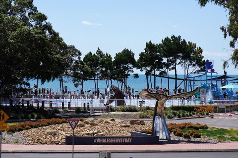 Beachside Motor Inn - Sydneys Hotel 3