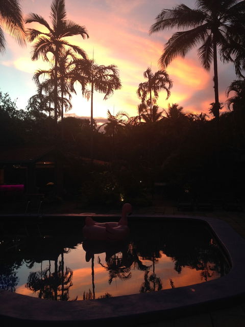 Pink Flamingo Resort - Sydneys Hotel 6