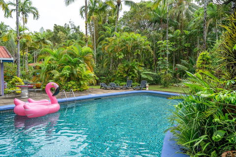 Pink Flamingo Resort - Sydneys Hotel 5