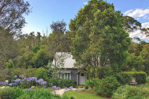 Abelia House - Sydneys Hotel 1