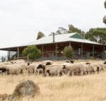 Gilgraves Vineyard Farmstay - Sydneys Hotel