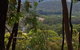 Trestrail Cottage B & B - thumb 3