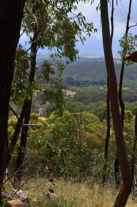 Trestrail Cottage B & B - Sydneys Hotel 3