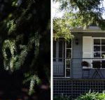 Foxmere Daylesford - Sydneys Hotel