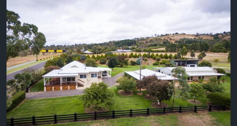 505 CONROD STRAIGHT MOUNT PANORAMA - Sydneys Hotel 1