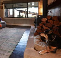 Millfield Eco Lodge with views  inside / outside hangouts - Sydneys Hotel