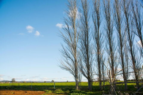 Royal Standard Farm Daylesford - Sydneys Hotel 2