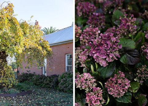 Royal Standard Farm Daylesford - Sydneys Hotel 1