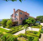 Talits Vineyard Estate - Sydneys Hotel