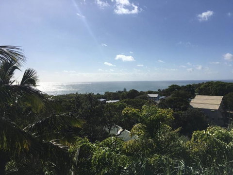 Cylinder Palms - Sydneys Hotel 2