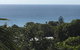 Cylinder Palms - thumb 5