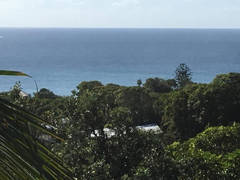 Cylinder Palms - Sydneys Hotel 5