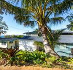 Cylinder Palms - Sydneys Hotel