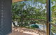 Fig Tree Down - thumb 7