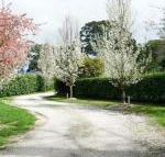 Robin Hill Manor rambling retreat  tennis court - Sydneys Hotel