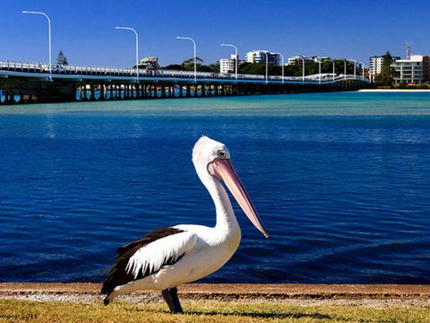 Parkside Marina 1 CBD Location - Sydneys Hotel 4