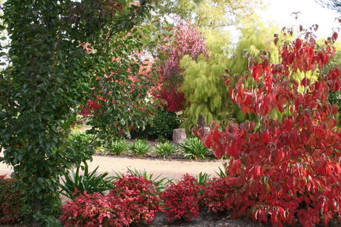 Delderfield Cottages - Sydneys Hotel 4
