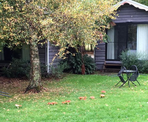 Crossways Country Inn - Sydneys Hotel 4