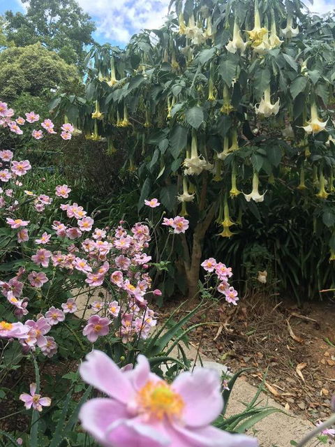 Adelaide Hills B & B Accommodation - Sydneys Hotel 6