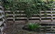 Cousin Gilbert Daylesford - thumb 5
